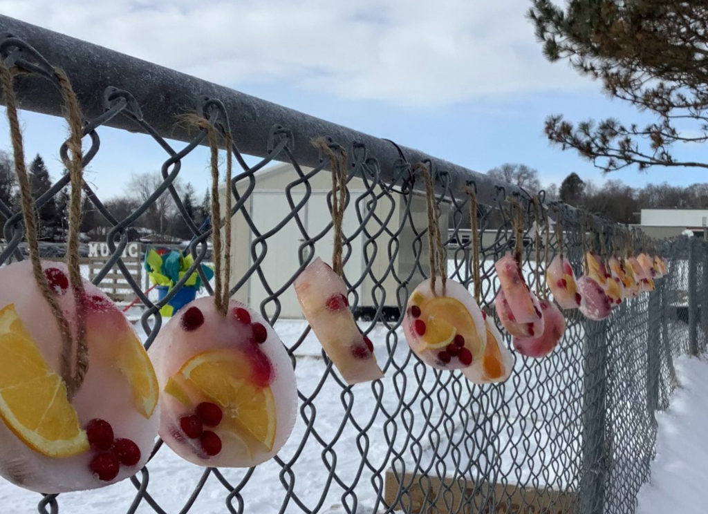 Row of frozen edible sun catcher bird feeders hanging on a fence.